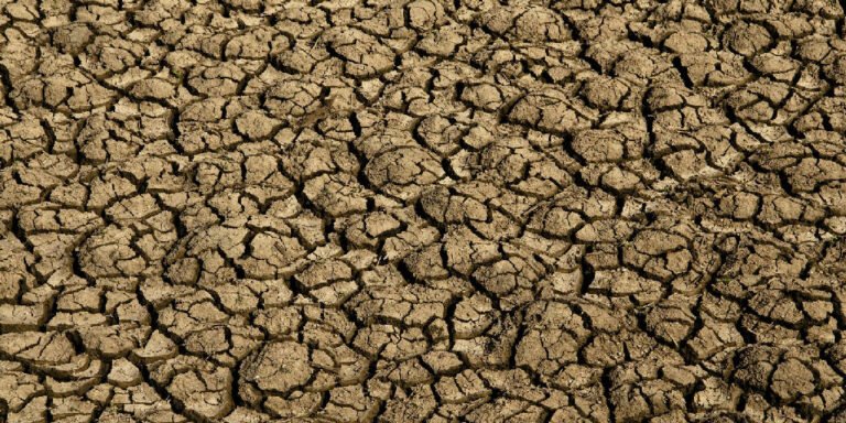 Rio Grande do Norte decreta emergência em 123 cidades devido à seca severa