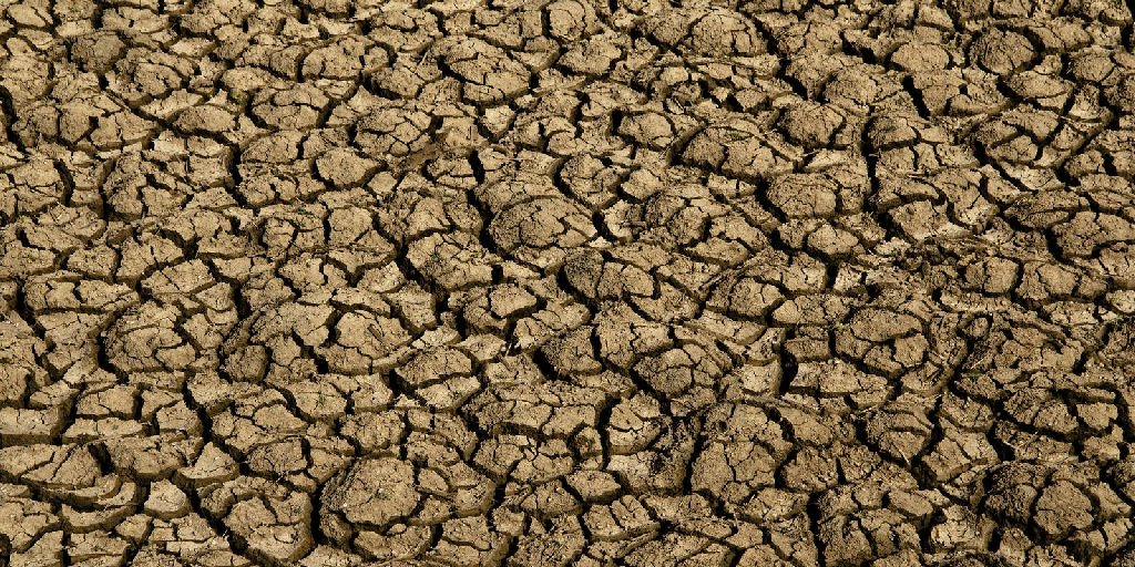 Rio Grande do Norte decreta emergência em 123 cidades devido à seca severa